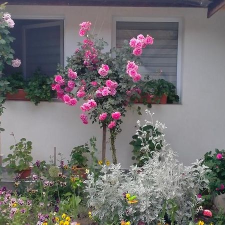 Villa Casa Luminita Ieşelniţa Exterior foto