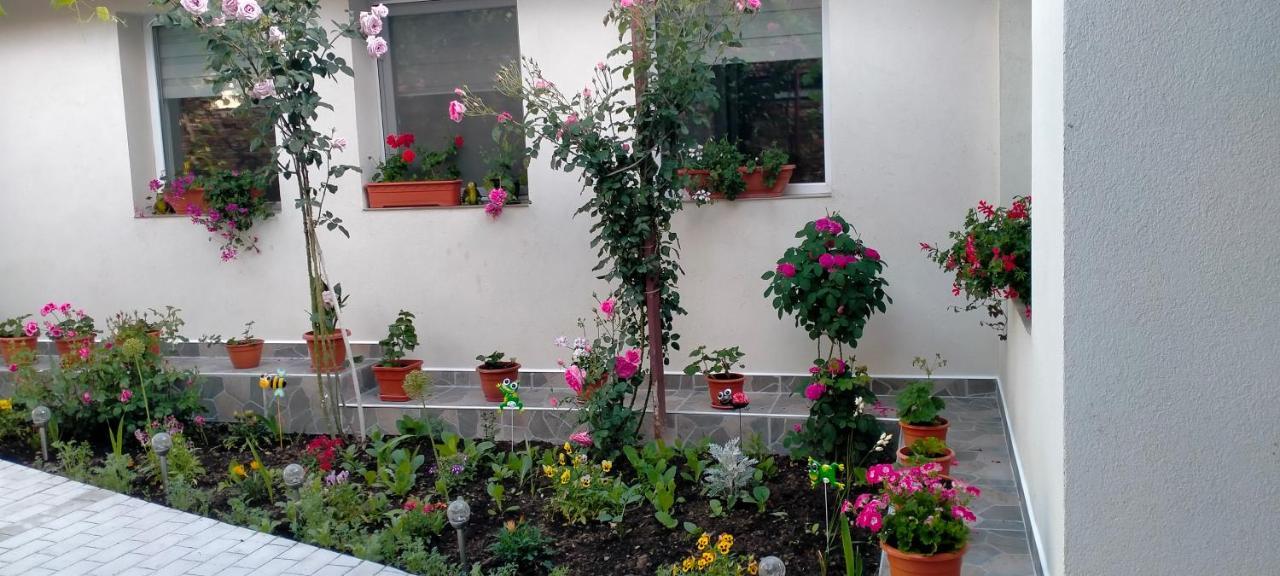 Villa Casa Luminita Ieşelniţa Exterior foto