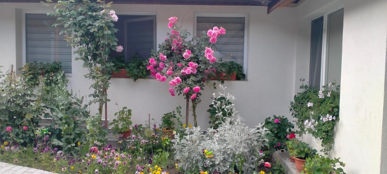Villa Casa Luminita Ieşelniţa Exterior foto